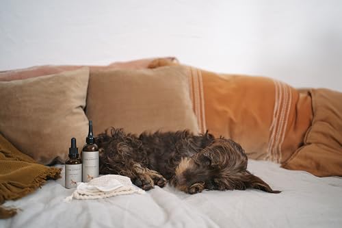 LILA LOVES IT Ohrpflege für Hunde - natürlicher Entzündungsschutz, beruhigt und erfrischt, stärkt die Widerstandskraft empfindlicher Hundeohren, vegan, Ohr-Engel, 50 ml