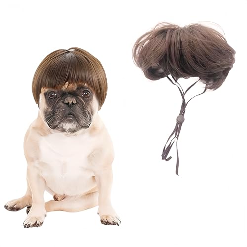 ybgpEBbO ybgp  L nEB RXv  킢 ΂ EP 邾 ȒP ʋC \ ϐg RXvObY