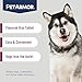 PetArmor 7 Way De-Wormer for Dogs, Oral Treatment for Tapeworm, Roundworm & Hookworm in Large Dogs & Puppies (Over 25 lbs), Worm Remover, Puppy Dewormer (Praziquantel & Pyrantel Pamoate), 2 Chewables