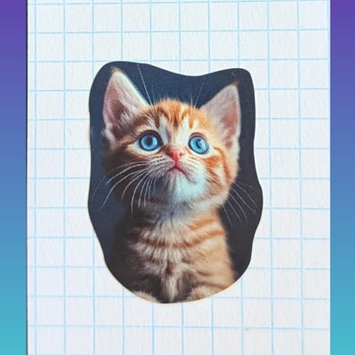 Warrior Cats mit Eichhornsee🐿️ cover art