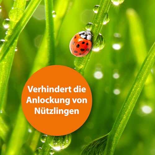ARDAP Fliegenfalle Draußen Nachfüller 3er – Ansicht 5