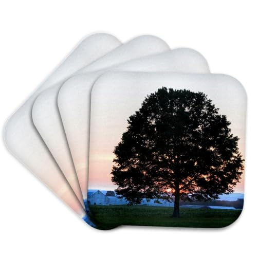 3dRose CST_90876_1 Oak Tree, Hadley, Massachusetts - US22 JMO0471 - Jerry and Marcy Monkman - Soft Coasters, Set of 4