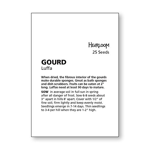 Burpee Ornamental Luffa Gourd Seeds 25 Seeds #TOP5