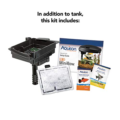https://m.media-amazon.com/images/I/41d7PhLFmnL._SL500_.jpg