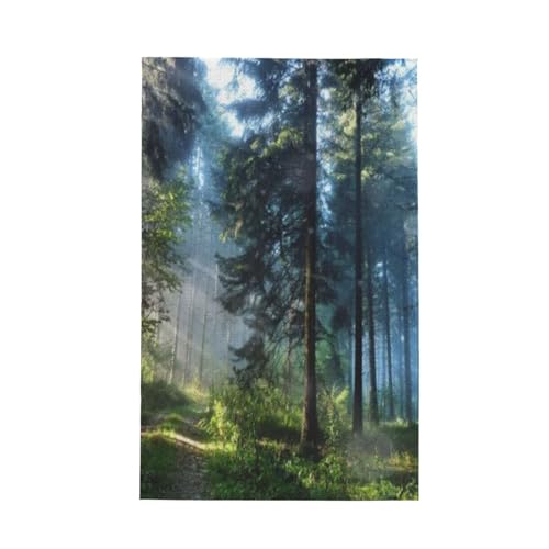 btLb`^I̓}CNt@Co[ŋzEERېɗDĂ܂i̐X̑傫Ȗ؍ށj