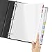 Avery Clear Easy View Durable Plastic Dividers for 3 Ring Binders, 8-Tab Set, Bright Multicolor, 1 Set (16741)