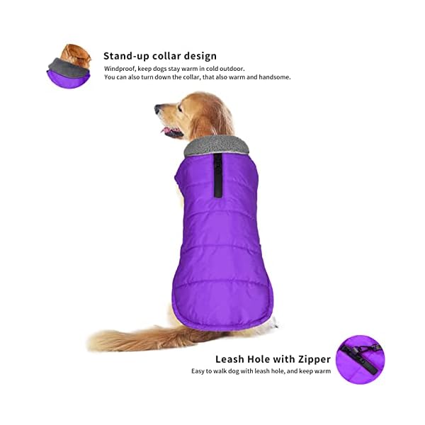 Dog Winter Coat, Waterproof Dog Jacket for Cold Weather, Windproof Dog Vest, Warm Pet Clothes for Puppy Dog Sweater for Small Medium Extra Large Dogs Pets Boy Girl (Purple, XL) Dog Winter Coat, Waterproof Dog Jacket for Cold Weather, Windproof Dog Vest, Warm Pet Clothes for Puppy Dog Sweater for Small Medium Extra Large Dogs Pets Boy Girl (Purple, XL)