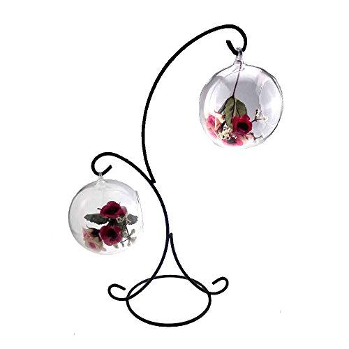 Ian Enterprises Ornament Display Stand Iron Pothook Stand For Hanging Glass Terrarium/Picture (Double-Hook, Black) #TOP2