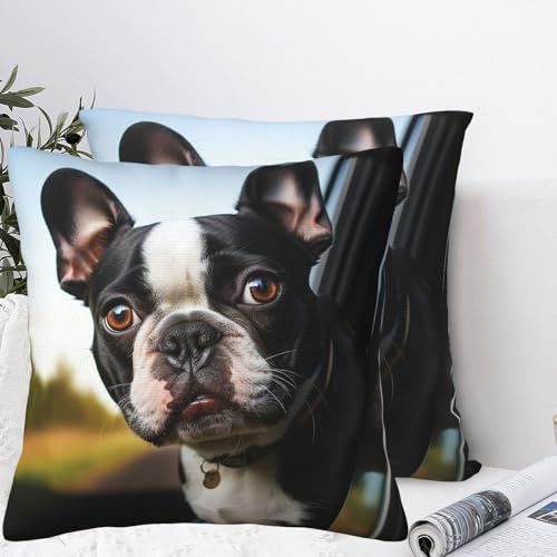 QMNSEHF Decorative Throw Pillows Covers Set of 2 Soft Plush Couch Pillow Covers 20