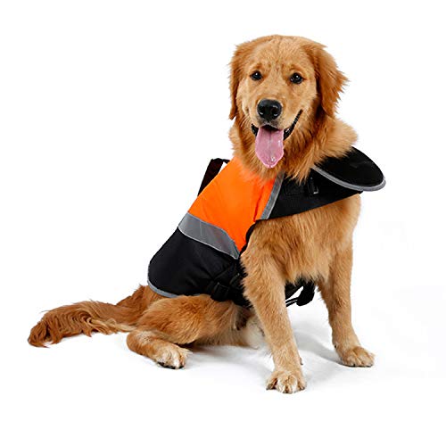 I migliori giubbetti di salvataggio per cani - CaneLandia.it