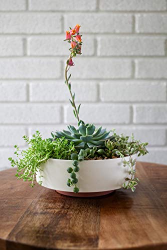 The Hc Companies 6 Inch Round Capri Succulent Pot - Decorative Indoor Plastic Planter With Drainage, Faux Concrete #TOP1
