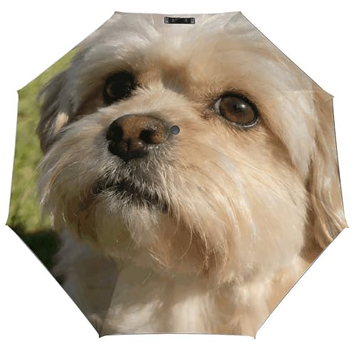 Image of Thoughts of A Gentle Heart Umbrella,Automatic Open 3 Folding Umbrella Strong And Portable Durable Premium Grip Travel Umbrella for Men And Women Fits Car And Backpack