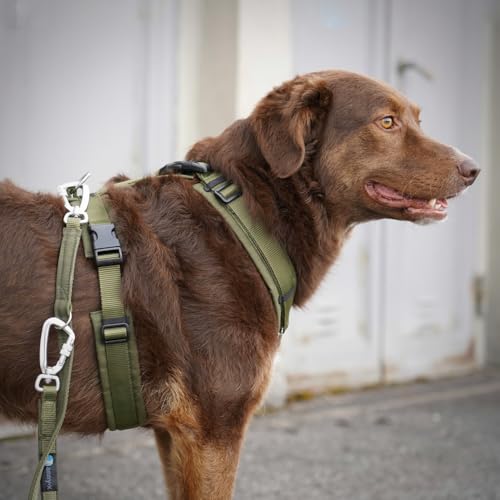Anny-X Brustgeschirr Open Fun | Hundegeschirr für Sensible Hunde | Farbe Oliv-Oliv | Gr. L (Brustumfang 70-86cm)