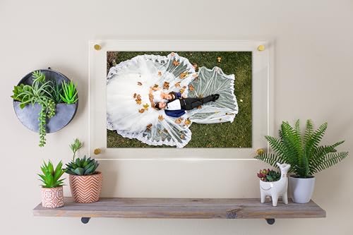 Ships Next Day, Made in USA, Acrylic Wall Mount Floating Picture Frame - Frameless Display for Art Prints, Photos, & Certificates - Modern Clear Style for Home & Office Decor (1 Pic - 11x14)