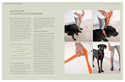 Die José-Arce-Methode: Liebe Deinen Hund. Wie Sie beim Gassigehen die Beziehung stärken (GU Mensch-Hund-Beziehung)