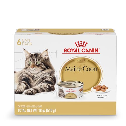 Royal Canin Feline Breed Nutrition Maine Coon Adult Thin Slices in Gravy Cat Food, 3 oz (Pack of 6)