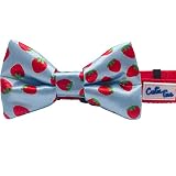 Cutie Ties Dog Bow Tie Strawberries- 2" x 4" Premium Quality Bow Ties for Dogs - Slip Over Elastic B