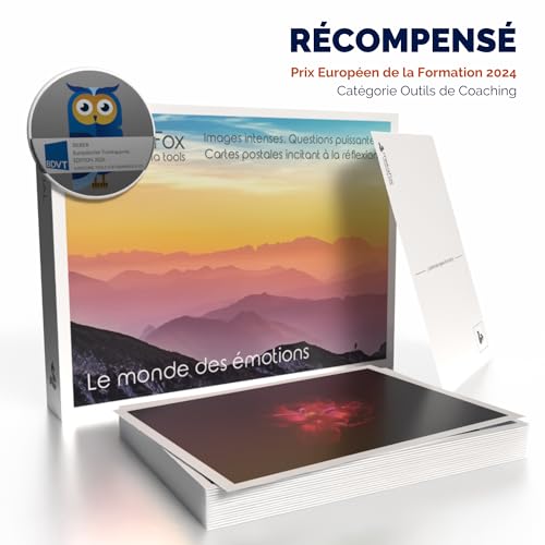 Cartes émotions metaFox thérapie intelligence émotionnelle coaching - 2