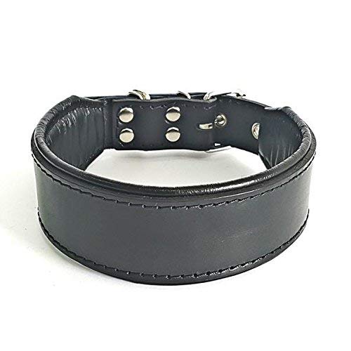 Bestia™ "Classic Echtleder Hundehalsband. 100% Leder. Weich gepolstert. TOP Qualität! Cover