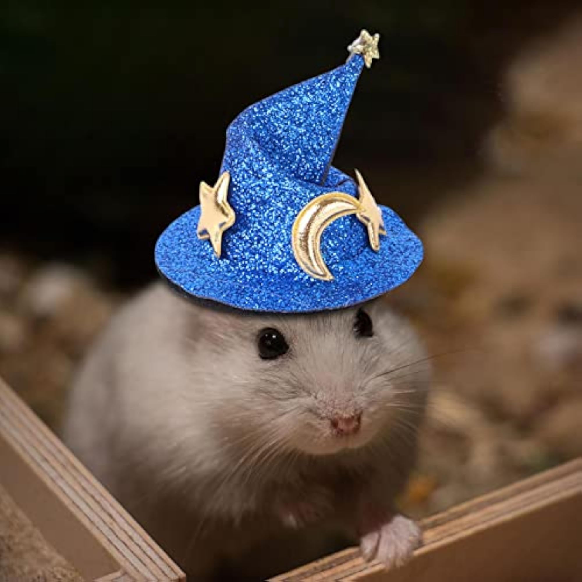 Comfortable Pet Hat for Small Animals