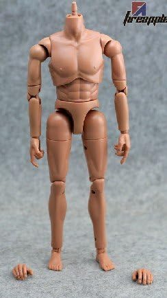 Amazon 1 6 フィギュア 素体 男性素体 女性素体 男性素体 フィギュア ドール 通販