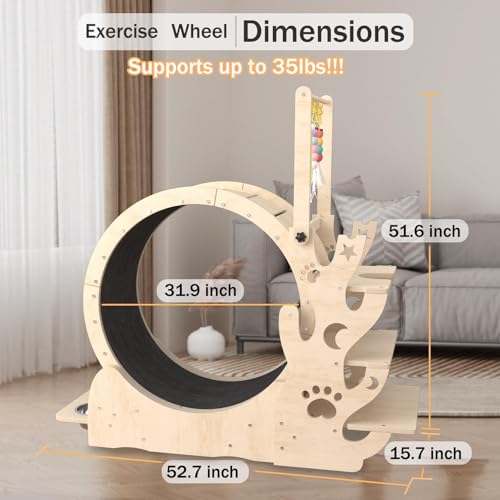 Upgraded Cat Wheel, Cat Running Wheel for Kitty's Longer LifeCat Exercise Wheel for Indoor Cats, Cat Treadmill with Cat House, Cat Stand CCC0111