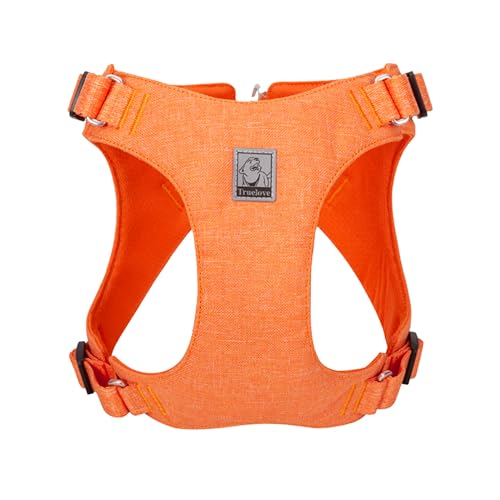 Wanwan Square Garden  n[lX TCN ybg{gf 炩 y bV SDGs ی AEghA Truelove uh Ռz v 킢 lC ɗDGR n[lXiIW- Lj