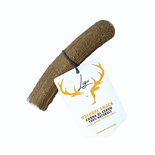 Ligo Corna di Cervo per Cani 100% Naturale Masticare Giocattolo Osso M | 76-150 g