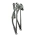 Fenix Cycles 12in Chrome Classic Springer Steel Forks, 1