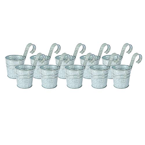 NIRMAN Macetas colgantes de metal galvanizado rústica, para montaje en pared para plantas y flores, para interiores y exteriores de jardín, cubo, diámetro de 10 cm, alto de 17,78 cm, juego de 10