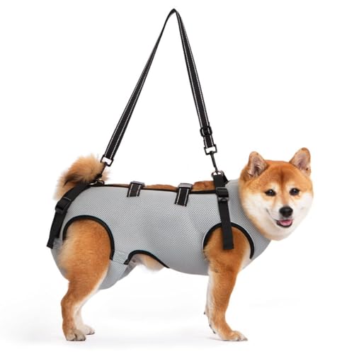 GIIPET 犬用介護ハーネス 犬 歩行補助ハーネス 通気性 サイズ調整可能 簡単脱着 老犬 けが 手術後 リハビリ 小型犬 中型犬 散歩 胴輪 前足 後足サポート 快適フィット お出かけ便利 介護用品 (グレー - 夏, M(8-14kg))