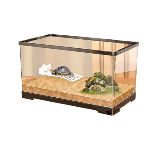 Fiozwea360xnKX̉ƒpJBoAɗDvX`bNeEAAPzAEh~@\tB (?zzr)