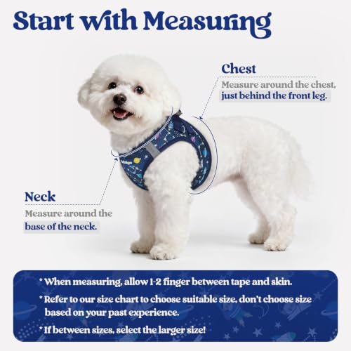 Image of rabbitgoo Dog Harness Small Sized and Leash Set, Step-in Puppy Pet Vest