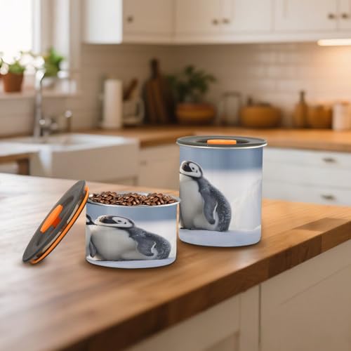 Recipiente para café hermético acero inoxidable 17 oz miniatura 6