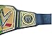 ZanderUS New Roman Reigns Undisputed Championship Title Replica - Original Tribal Chief (OTC) Universal Wrestling Adult Heavyweight Belt