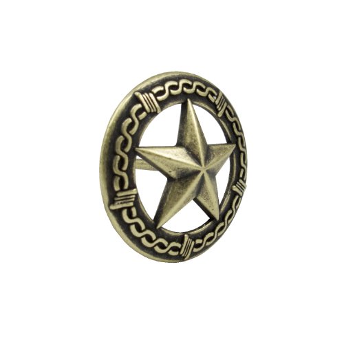 Springfield Leather Company Small Antique Brass Barbwire Star Upholstery Tack 25 Pack