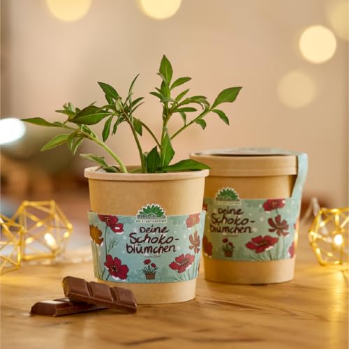 Anzuchtset für Schokoblumen von \Die Stadtgärtner\ | Schokoladenblume Starter-Set inkl. Pflanzbecher, Saatgut und Kokoserde | Tolle Geschenk-idee für Schokoladenliebhaber, Garten-Freunde & Kinder