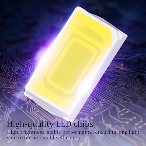 RATSTONE LED Rückleuchten Anhänger,2X Anhänger Beleuchtung,12/24 V Gleichstrom-Rückleuchten,Fünf Funktionen,Wasserdicht,Geeignet für Lieferwagen,LKWs,PKWs,Wohnmobile usw.(28x10cm)