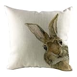 ❤ Gift und deco: Kissenhülle Einfaches, elegantes Design perfekt für Heimtextilien, Sofa und Stühle, Auto Dekoration, Büro, Hotel, Kaffee Dekoration. NEEKY Kissen Dekokissen Kissenbezug Sofakissen Kissenhülle Zierkissen Kopfkissen Auto Kissenbezüge - 45cmX45cm Ostern Schlafsofa Dekoration Festival Kaninchen Kissenbezug