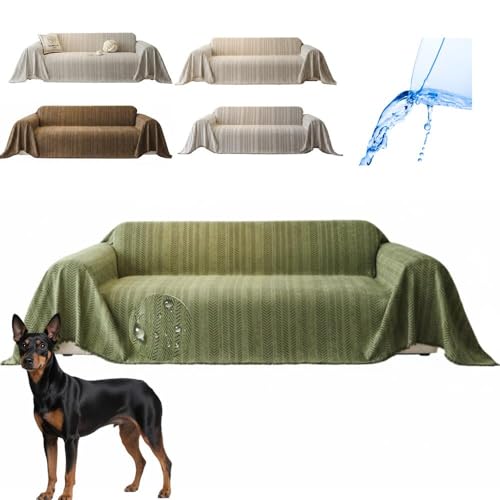 Lifetips gC}`FX^[eA \t@[Jo[ k  􂦂 h }`Jo[ 2l| 3l| It IȂ ~ Eh~ LΉ lGʗp iO[j i130180CMj