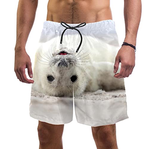 Maillots de bain pour hommes phoque short de plage pour vacances