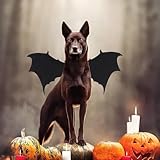 Hundekostüm - Hund Kostüm - Outfit Kreatives Cosplay Zubehör Für Welpenclub Outdoor Haustier Verkleidung