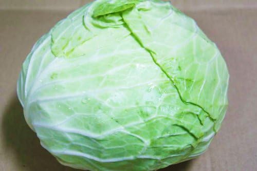 Amazon 沖縄県産 キャベツ約1ｋｇ 1玉 2玉 沖縄の八百屋さん キャベツ 通販
