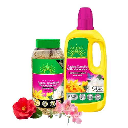Ericaceous Plant Food Feed Fertiliser - Bundle of 900g Continuous Release Plant Feed Granules & 800ml Concentrated Liquid Plant Food. Garden Plants Fertilizer for Azalea Camellia with Card
