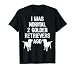 I Was Normal 2 Golden Retrievers Ago - Funny Dog T Shirt