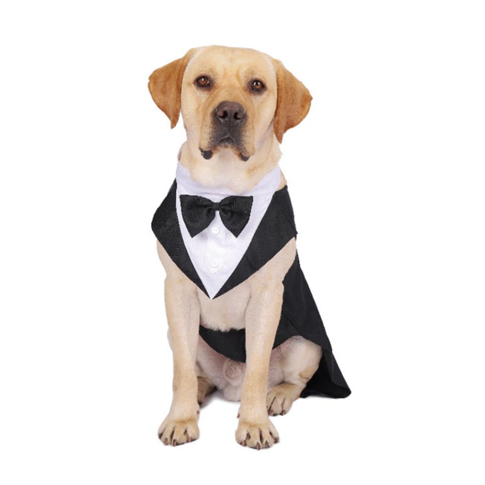 Disfraz formal para perro POPETPOP con moño, talla S miniatura 3
