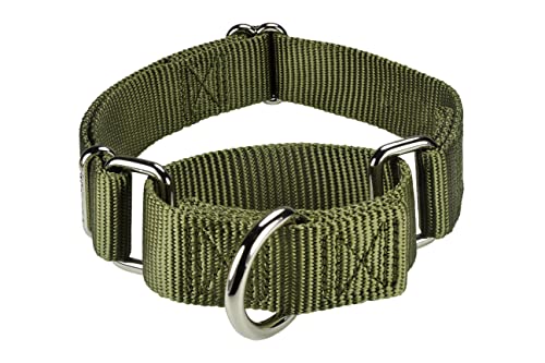 Mikivery marraht EIN hundehalsband mit verschlafenem farbenprächtigen metallhalsband für Haustiere eignet Sich für kleine mittelgroße und groß