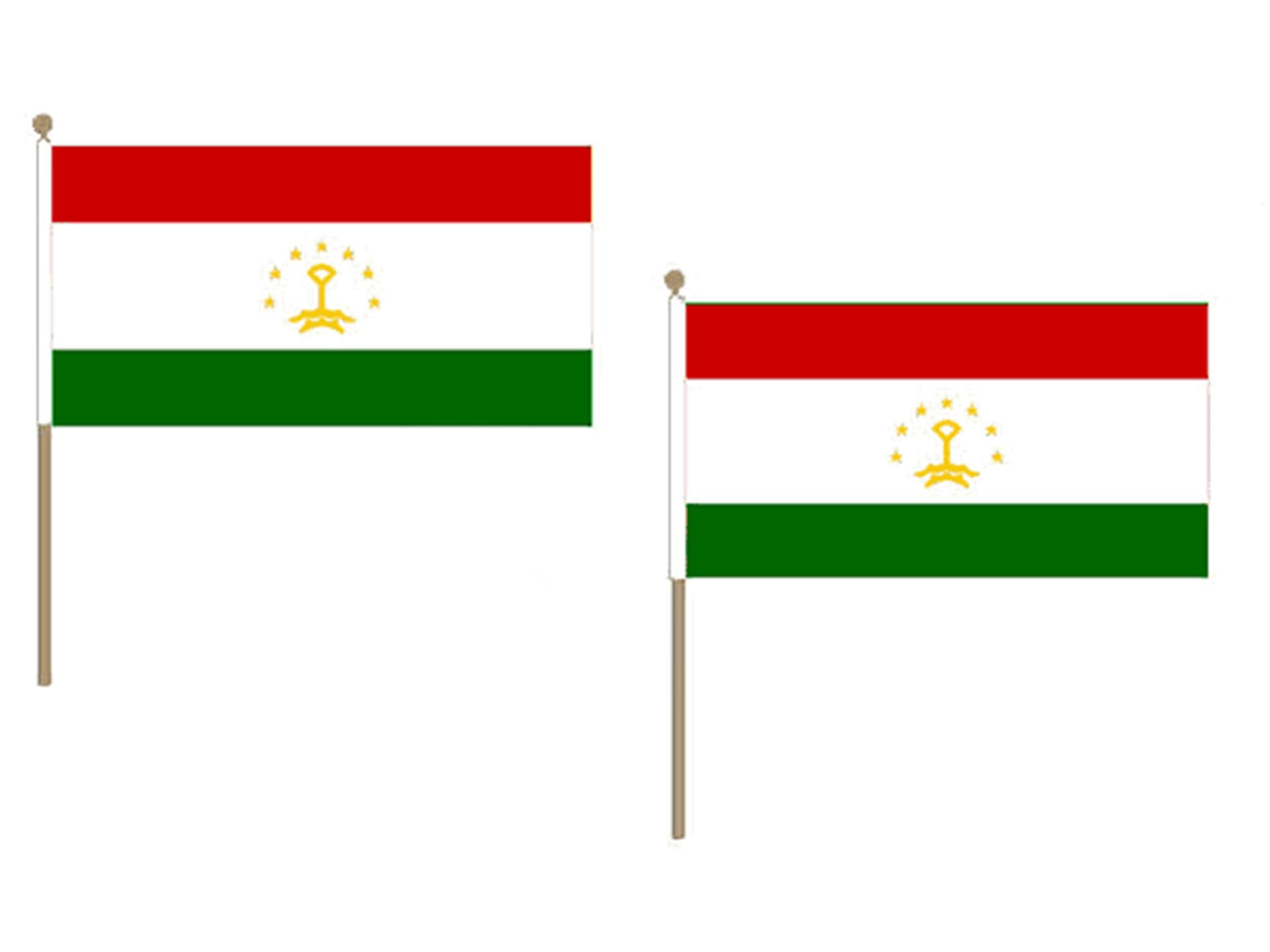Drapeau Tadjikistan 45x30cm sur hampe pour décorer vos fêtes et célébrations culturelles