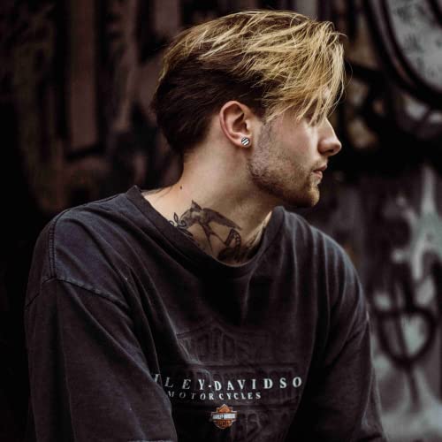 FUNRUN JEWELRY 16Pairs Stainless Steel Tunnel Fake Gauge Stud Earrings for Men Women Round Plug Earrings 18G4