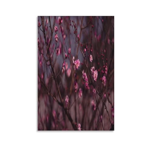 CBCoin Prunus Mume Lienzo Pintura Abstracta Fondo Impreso En Lienzo Cuadros Decoración Salón - Cuadros Lienzos Decorativos - Cuadros Modernos 16x24inch(40x60cm)